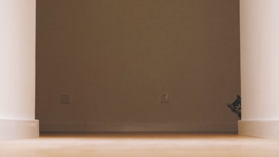 الصرف الصحي في حالات الطوارئكيفية التعامل مع الأزمات المفاجئة